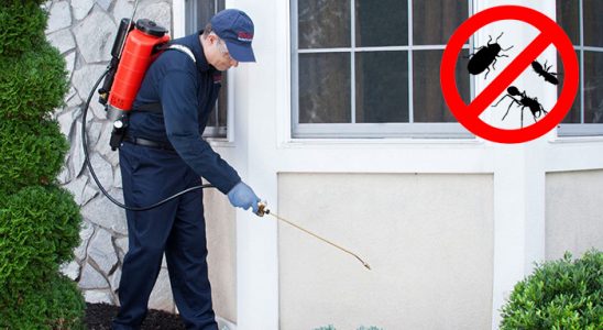 Sinanpaşa Böcek ve Haşere İlaçlama böcek ilaçlama ve haşere kontrolü — ilaclama-tr.com